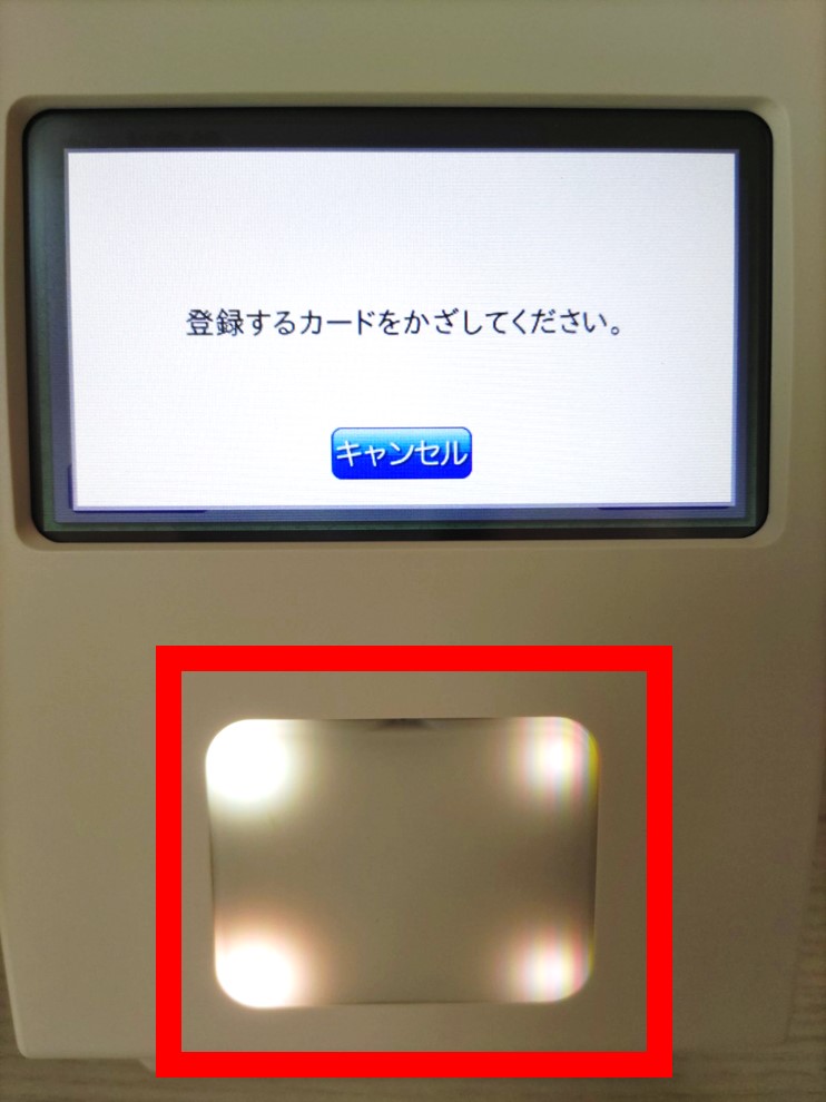 P12_.jpg